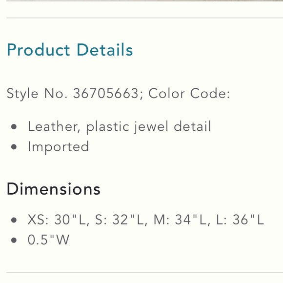 Anthro “Isola Belt” - Picture 3 of 14